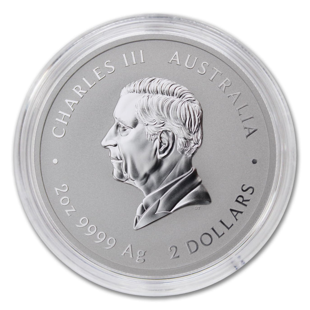 2025 P 2 oz Silver Australian Lunar Series III Year of the Snake Coin Brilliant Uncirculated (in Capsule) with Certificate of Authenticity $2 Seller BU