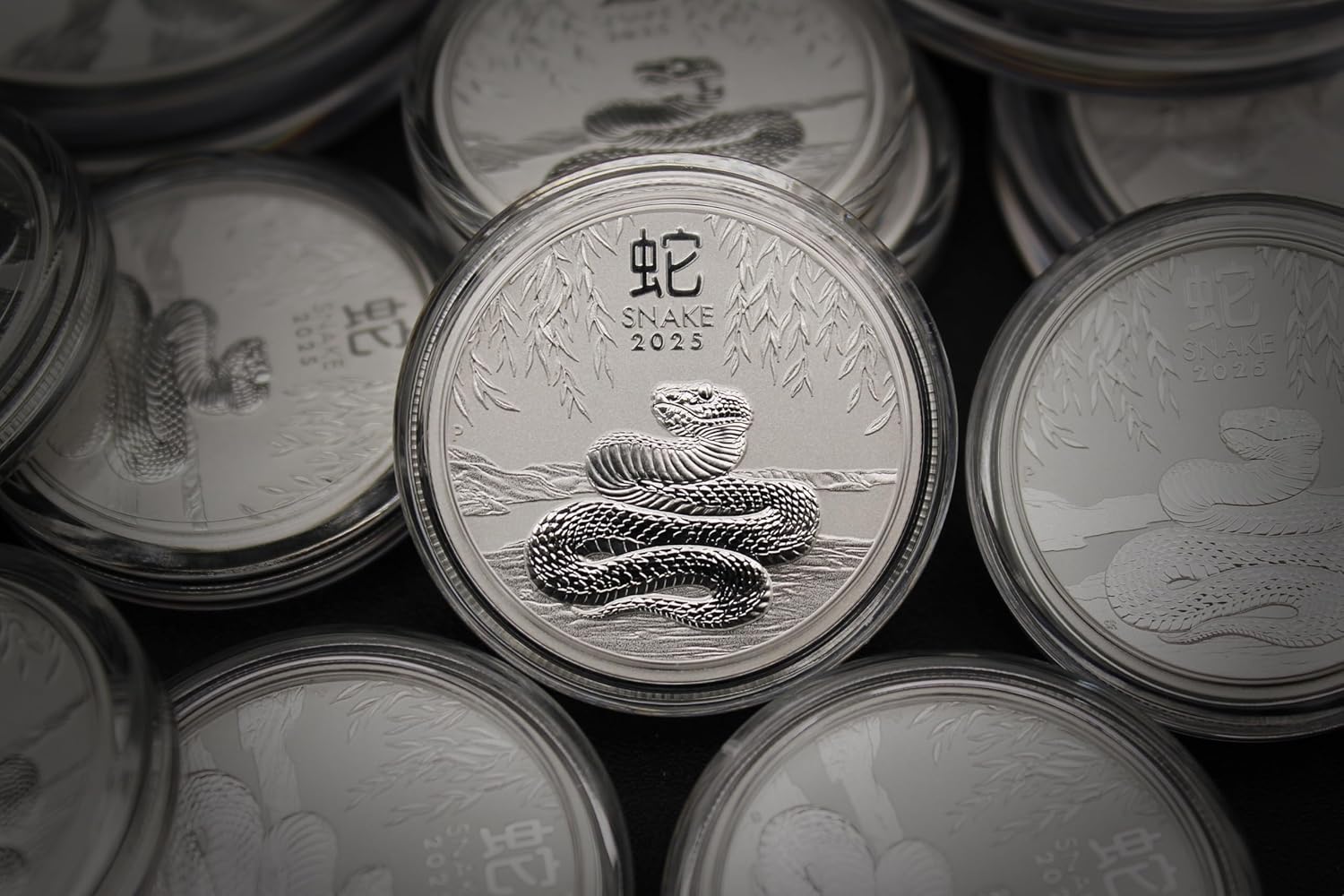 2025 P 2 oz Silver Australian Lunar Series III Year of the Snake Coin Brilliant Uncirculated (in Capsule) with Certificate of Authenticity $2 Seller BU