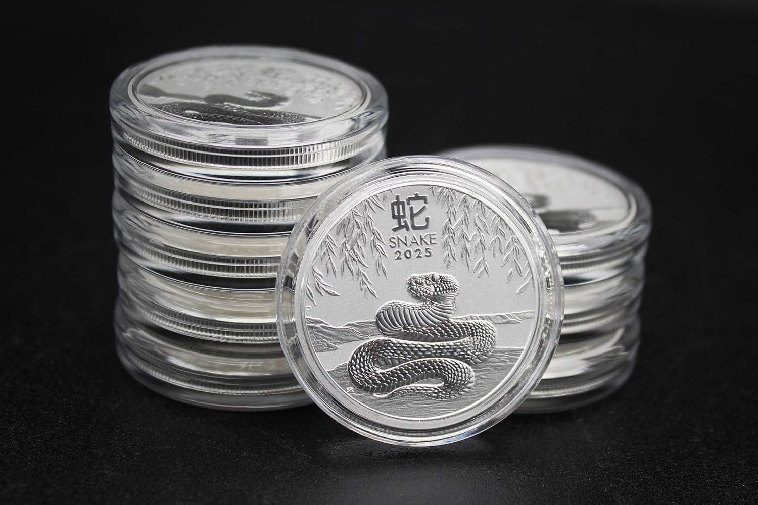 2025 P 2 oz Silver Australian Lunar Series III Year of the Snake Coin Brilliant Uncirculated (in Capsule) with Certificate of Authenticity $2 Seller BU